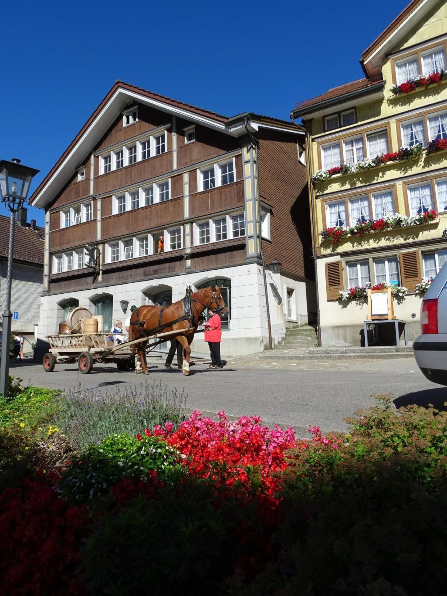 Ferienwohnung Edelweiss Urnäsch Eksteriør billede